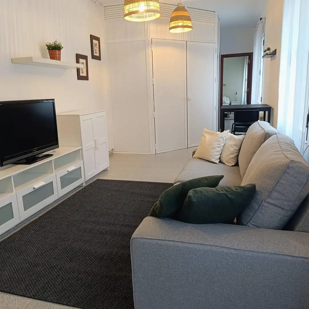 Sala d'estar de Apartament de lloguer en Lugo Capital amb Moblat