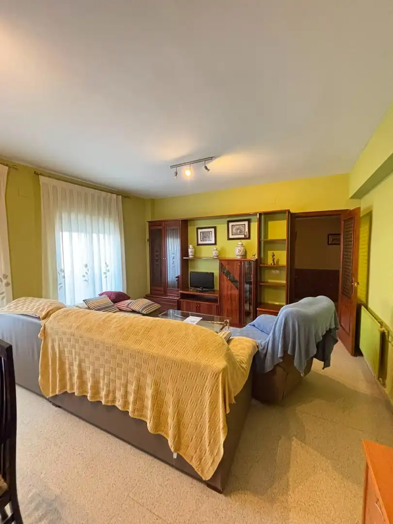 Living room of Flat for sale in Santa Cruz de Mudela