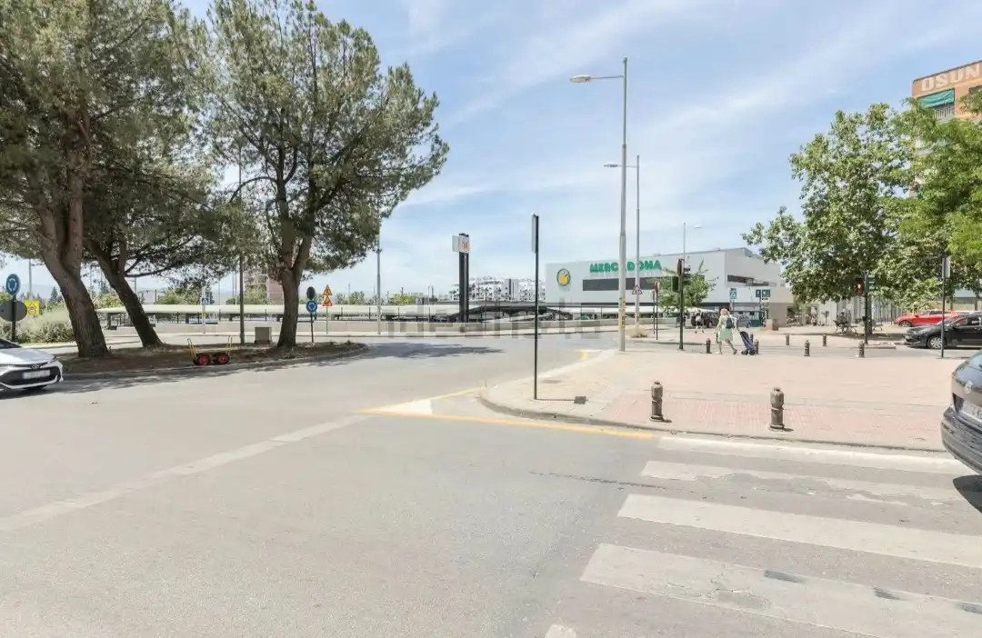 Flat for rent in Calle Teófilo Gautier, 1, Angustias - Chana - Encina