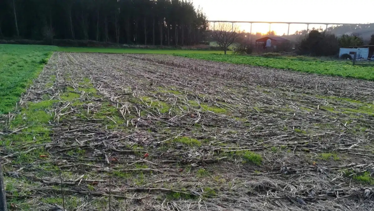 Terreni e lotti in vendita a Lugar NOENLLE, imagen 28