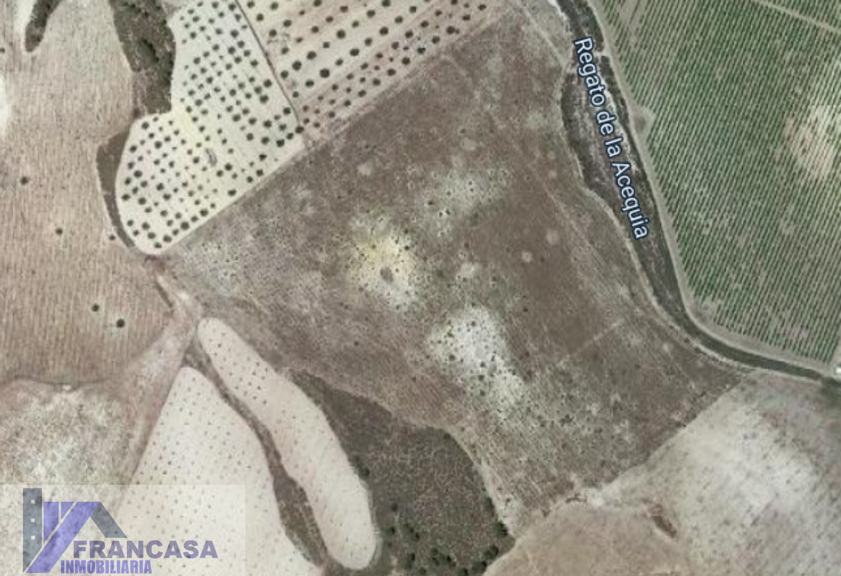 Finca rústica en venta en Cieza