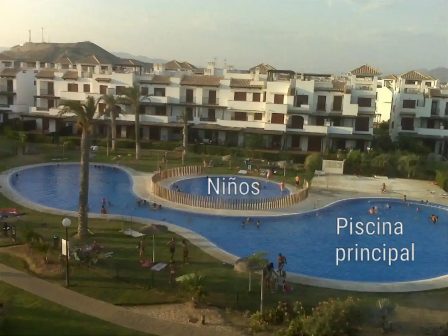 Piscina de Ático de alquiler en Vera con Aire acondicionado, Amueblado y Horno