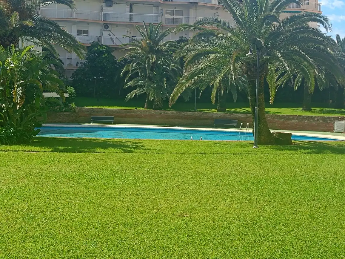Piscina de Apartament de lloguer en Gandia amb Aire condicionat, Terrassa i Moblat