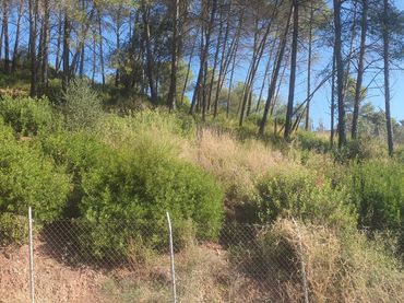 Terreny residencial en venda a Corbera de Llobregat
