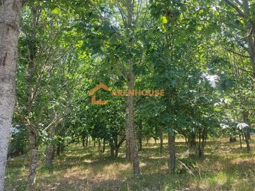 Terreno residenziale in vendita a San Cibrao das Viñas