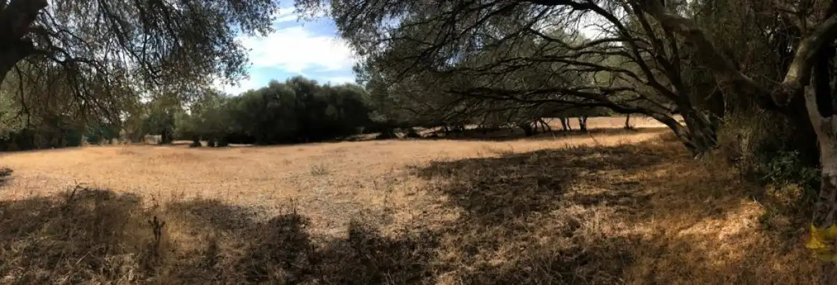 Terrain rustique à vendre à Vejer, imagen 4