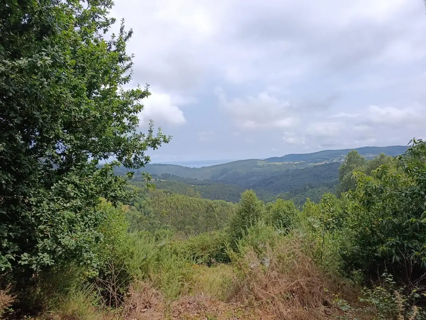 Country homes for sale in Pravia