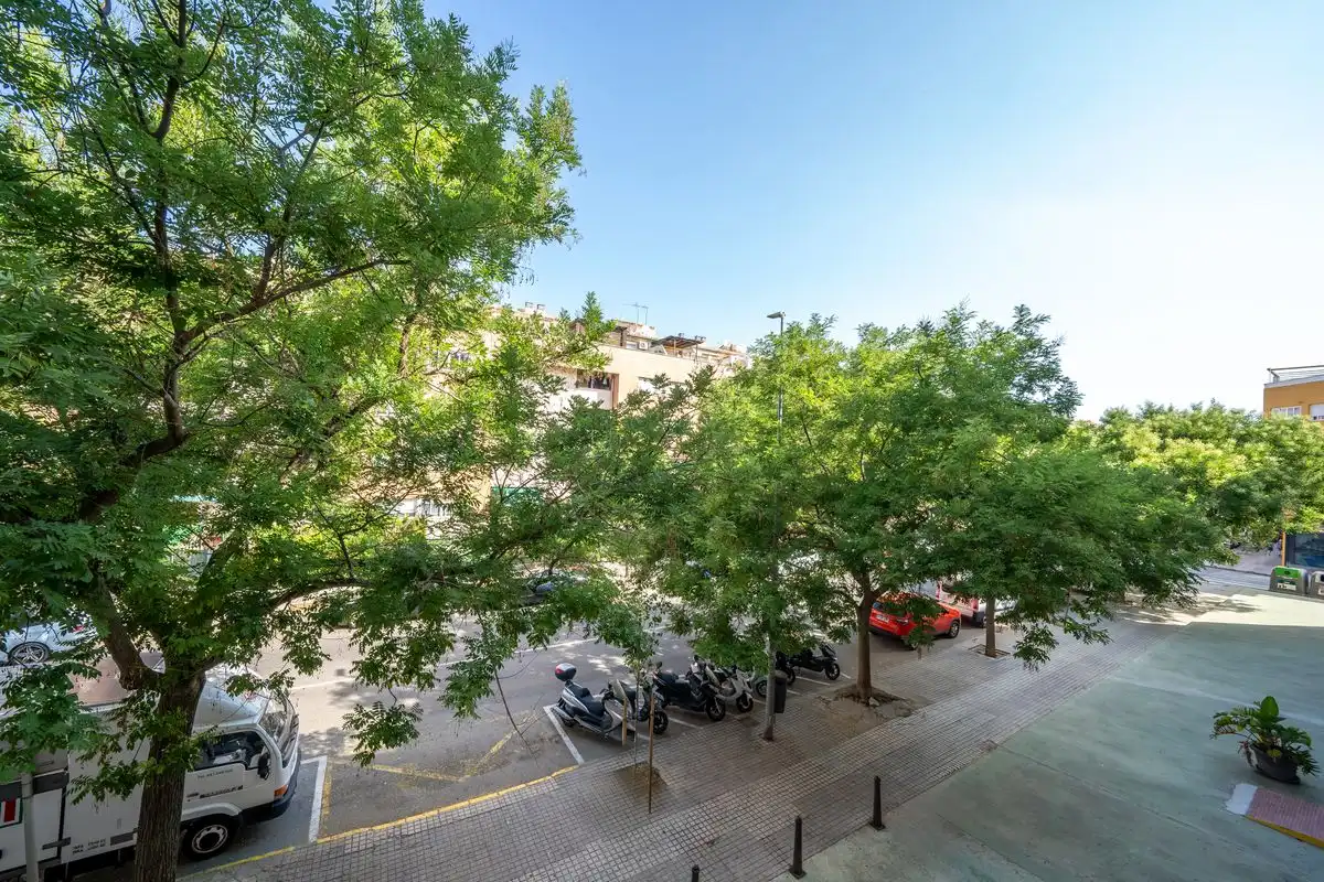 Piso con ascensor en venta en Avenida Miguel Hernández, imagen 33
