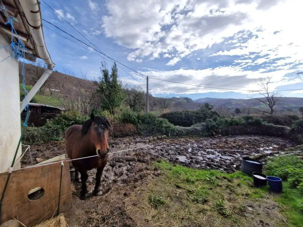 Vista exterior de Casa o chalet en venta en Arenas de Iguña con Jardín privado, Terraza y Trastero