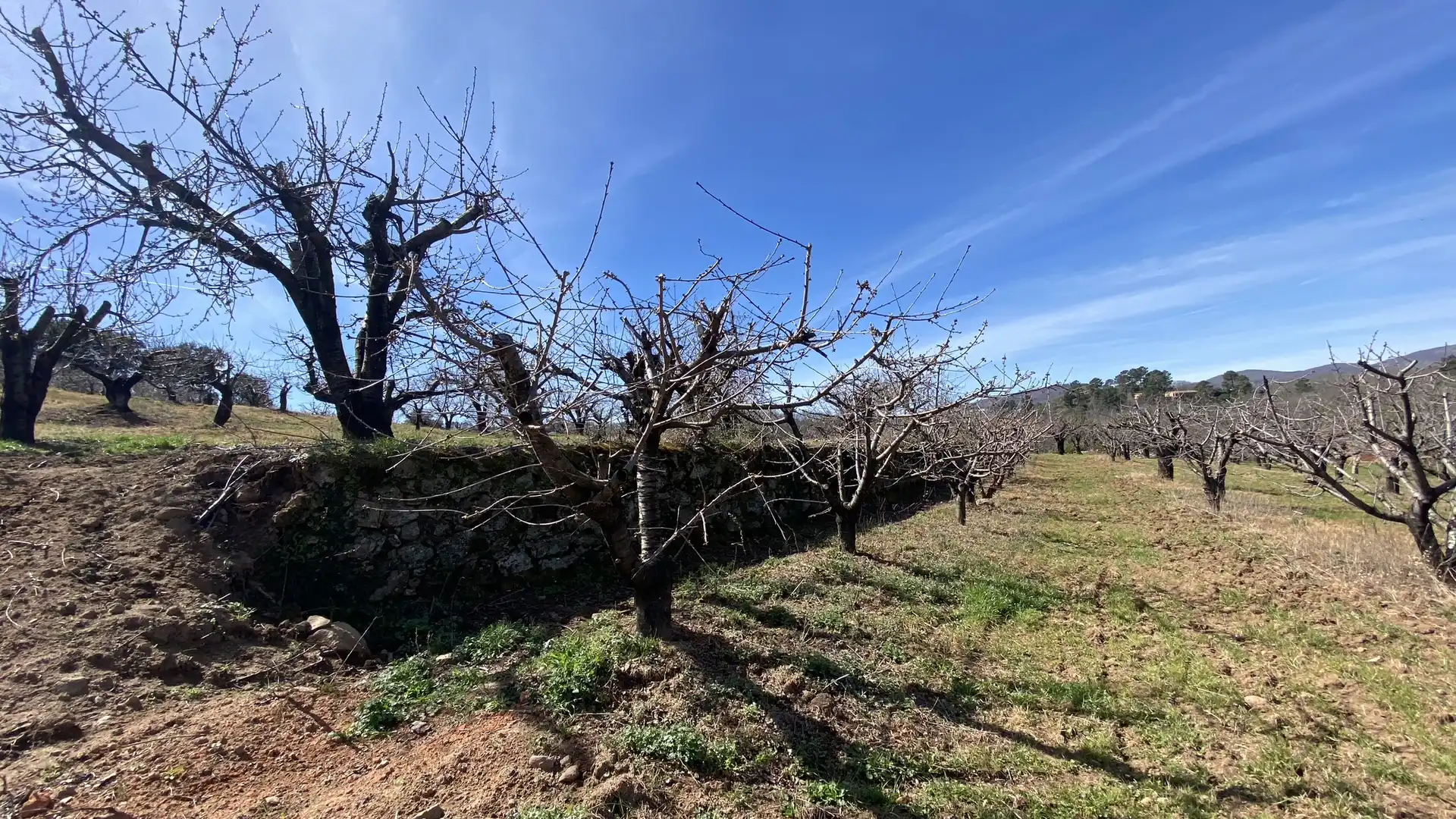Terreni e lotti in vendita a Jaraíz de la Vera, imagen 7
