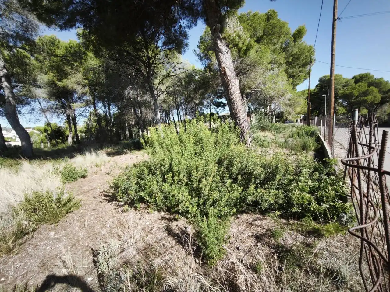 Residential land for sale in Calle Acacias, imagen 4