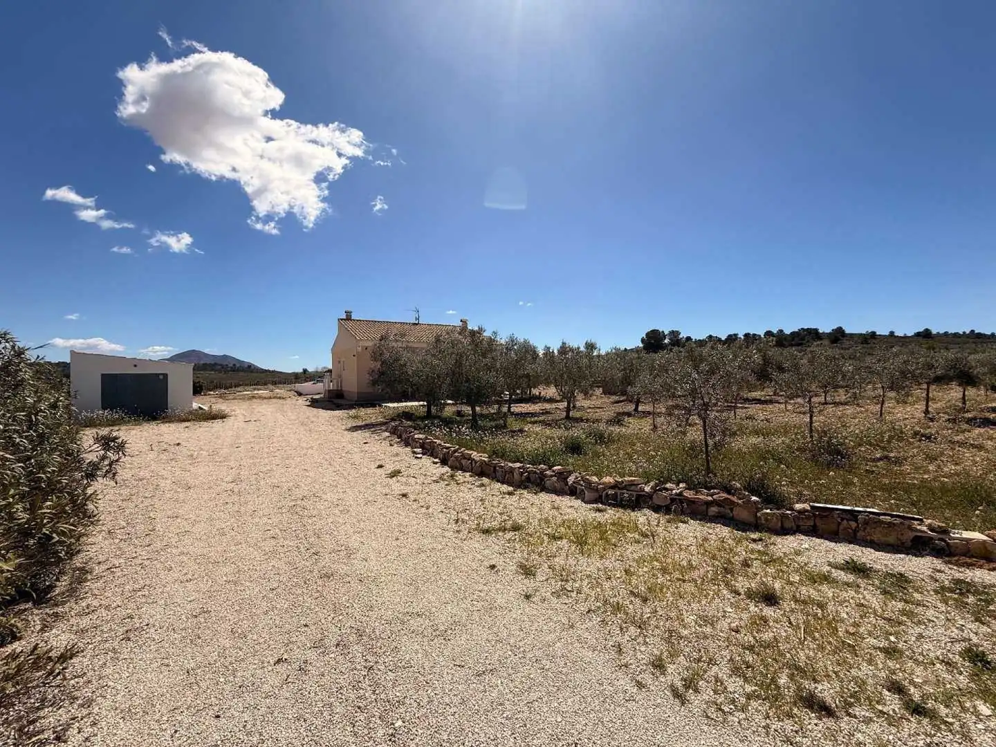 House for sale in El Pinós / Pinoso, imagen 7