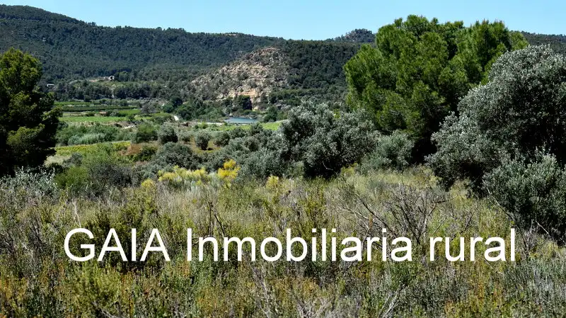 Finca rústica en venda en Batea