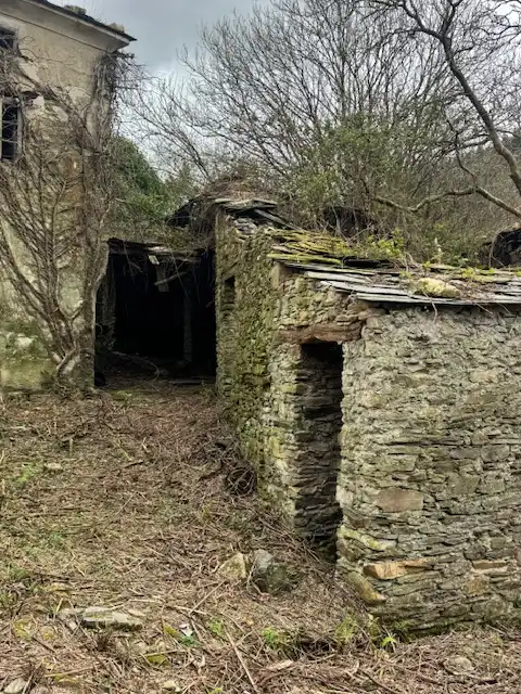 Vista exterior de Finca rústica en venta en Castropol