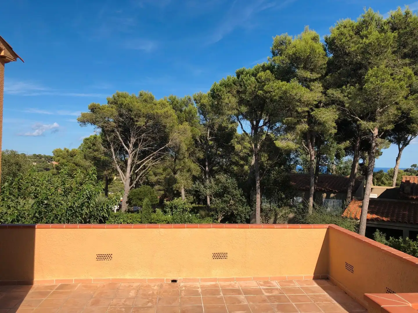 Jardí de Casa o xalet en venda en Palafrugell amb Calefacció, Jardí privat i Terrassa