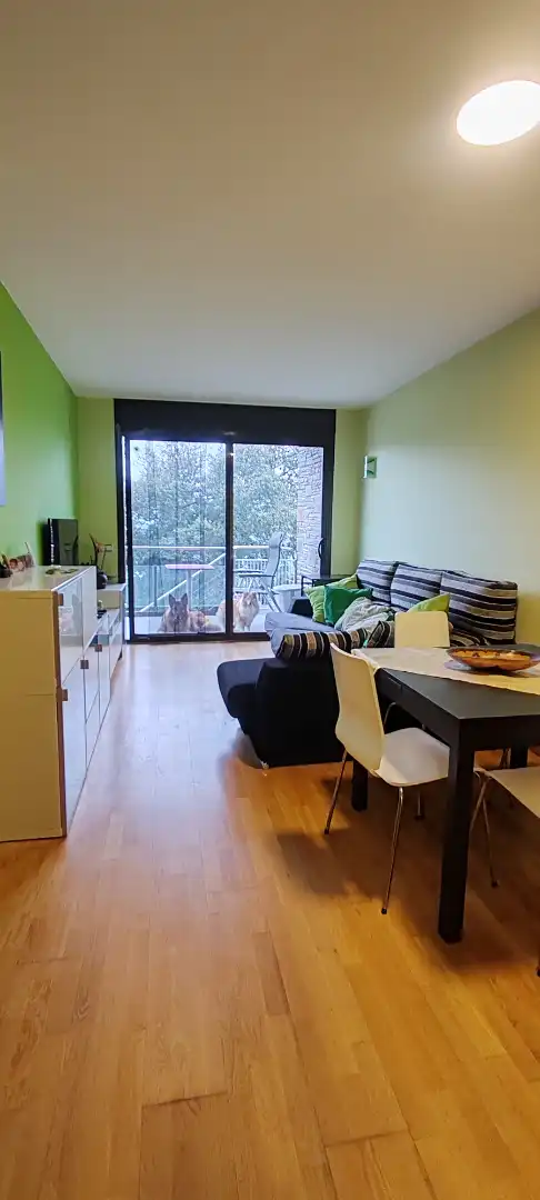 Living room of Flat for sale in Montferrer i Castellbò  with Heating, Private garden and Terrace