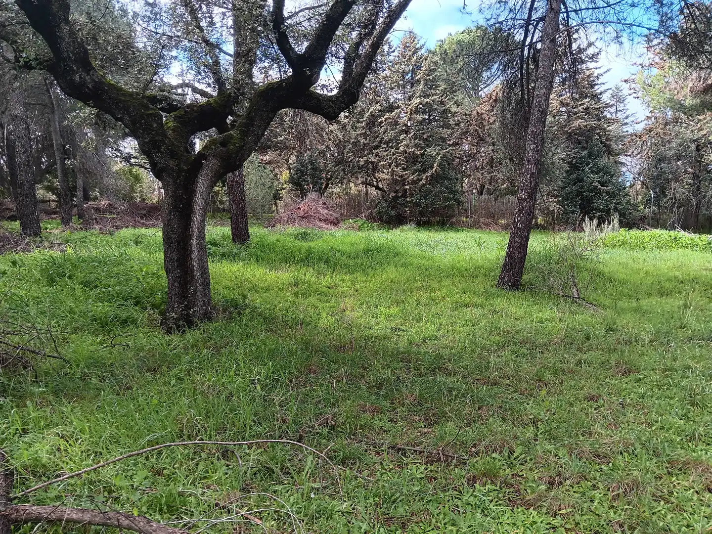 Residencial en venda en Boadilla del Monte