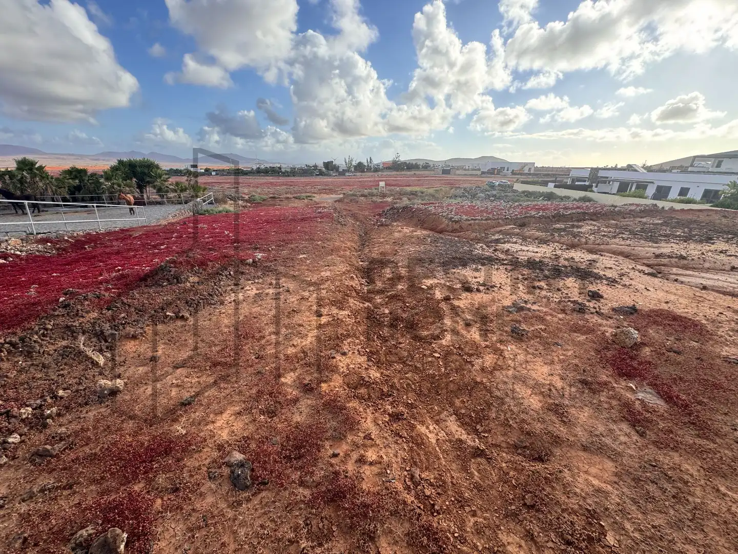 Terreno en venta en La Oliva