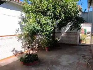 Terreni e lotti in vendita a Norte, imagen 43
