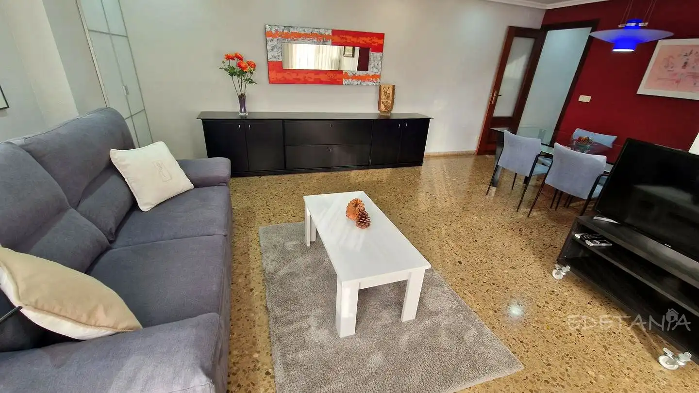 Sala d'estar de Pis de lloguer en Moncada amb Aire condicionat i Moblat