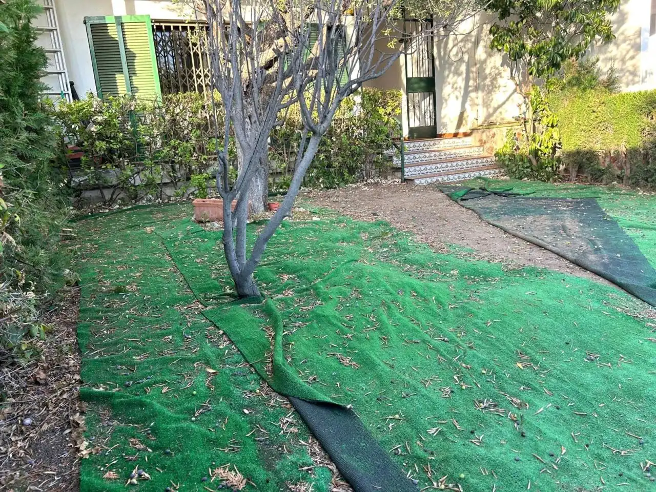 Jardí de Casa o xalet en venda en Sant Quirze del Vallès amb Calefacció, Terrassa i Alarma