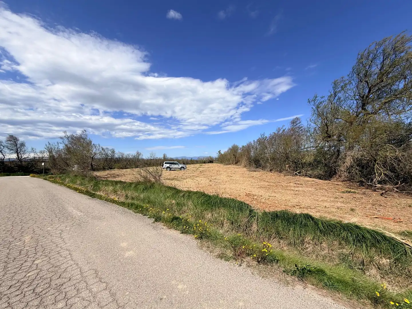 Rural land for sale in Sant Pere Pescador, imagen 6