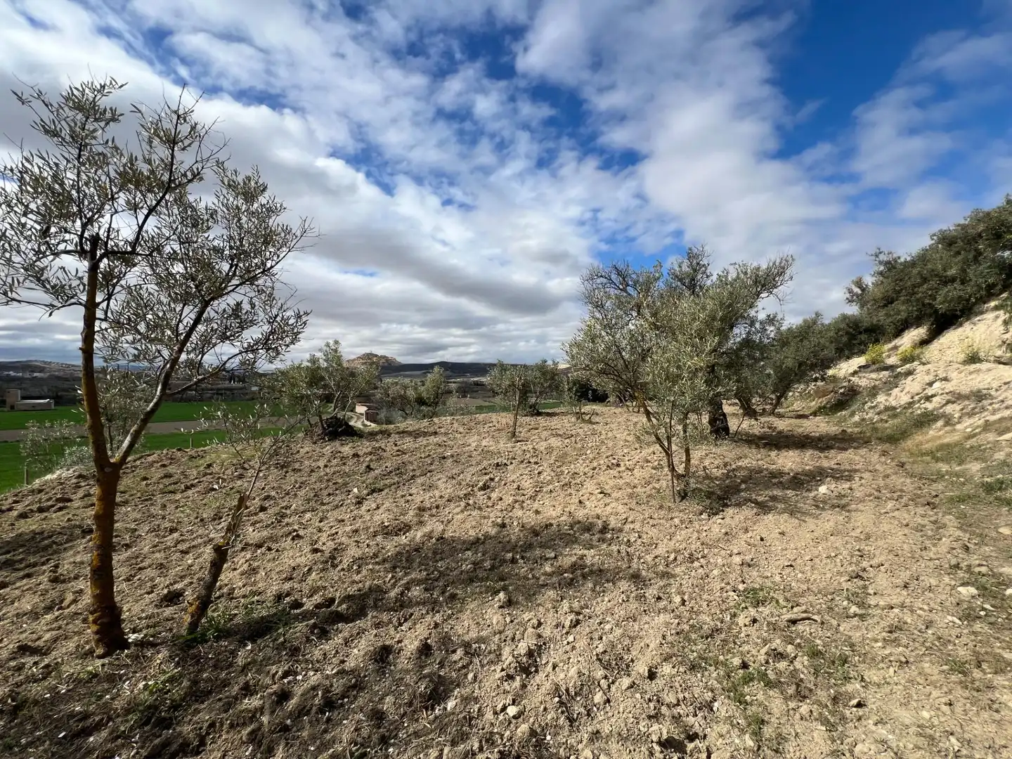 Terrenys i solars en venda a Camino SUELO URB S-5, imagen 11