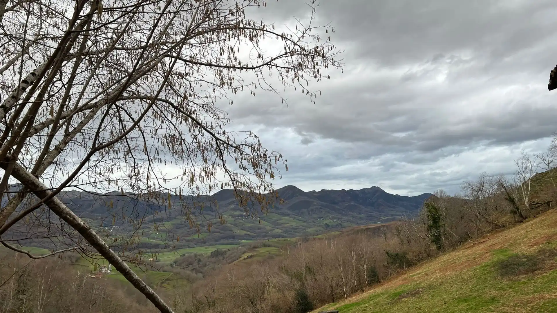 Terreno rustico in vendita a Cangas de Onís, imagen 24