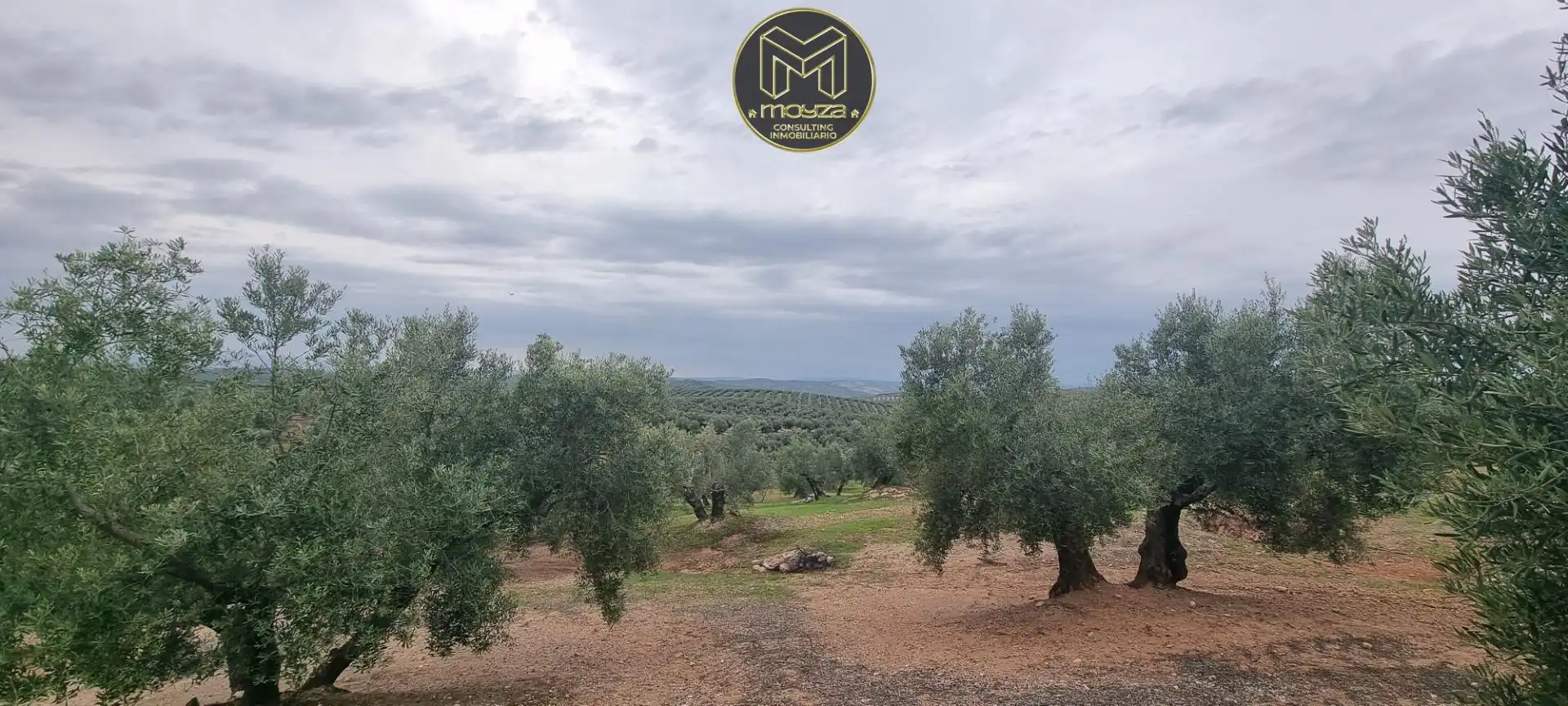 Terreni e lotti in vendita a Torredonjimeno, imagen 3