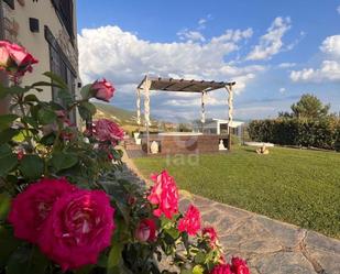 Terrace of House or chalet for sale in Jaca