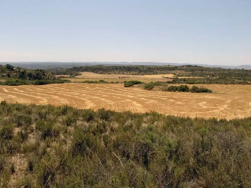 Finca rústica en venta en Alcañiz