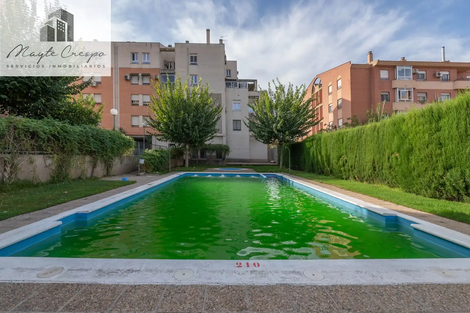 Pis amb piscina en venda a Norte, imagen 62
