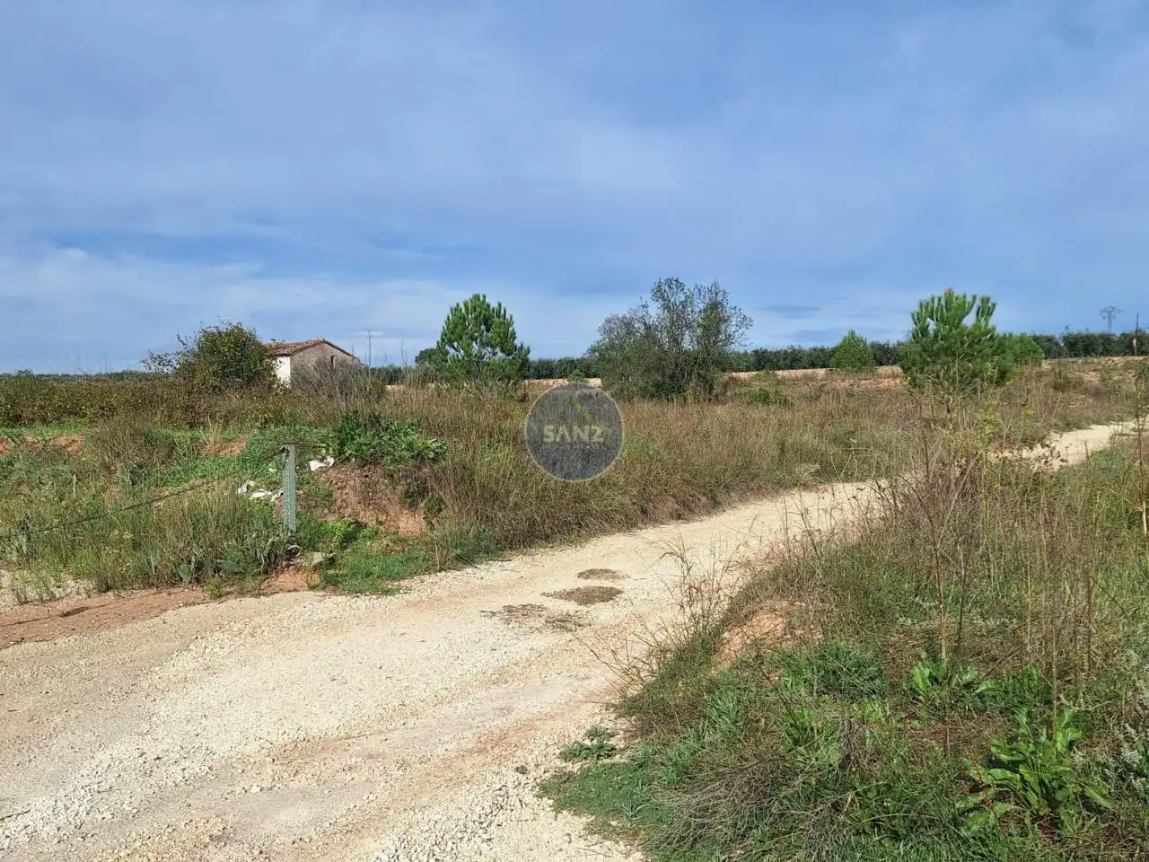 Terreny rústic en venda a Alfarrasí