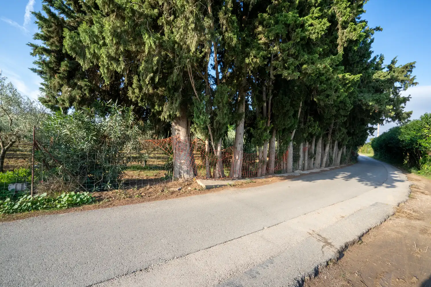 Terreny rústic en venda a Camí del Lloron de Tortosa 28, imagen 27