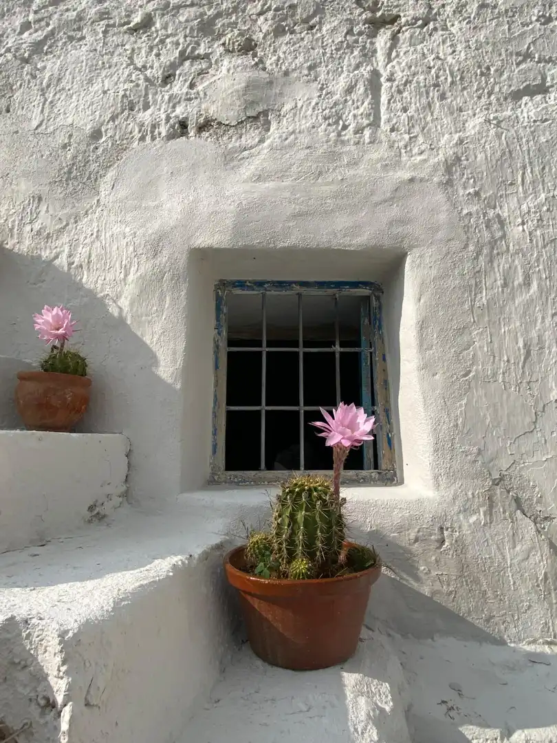 Vista exterior de Finca rústica en venta en Huesa con Jardín privado y Amueblado