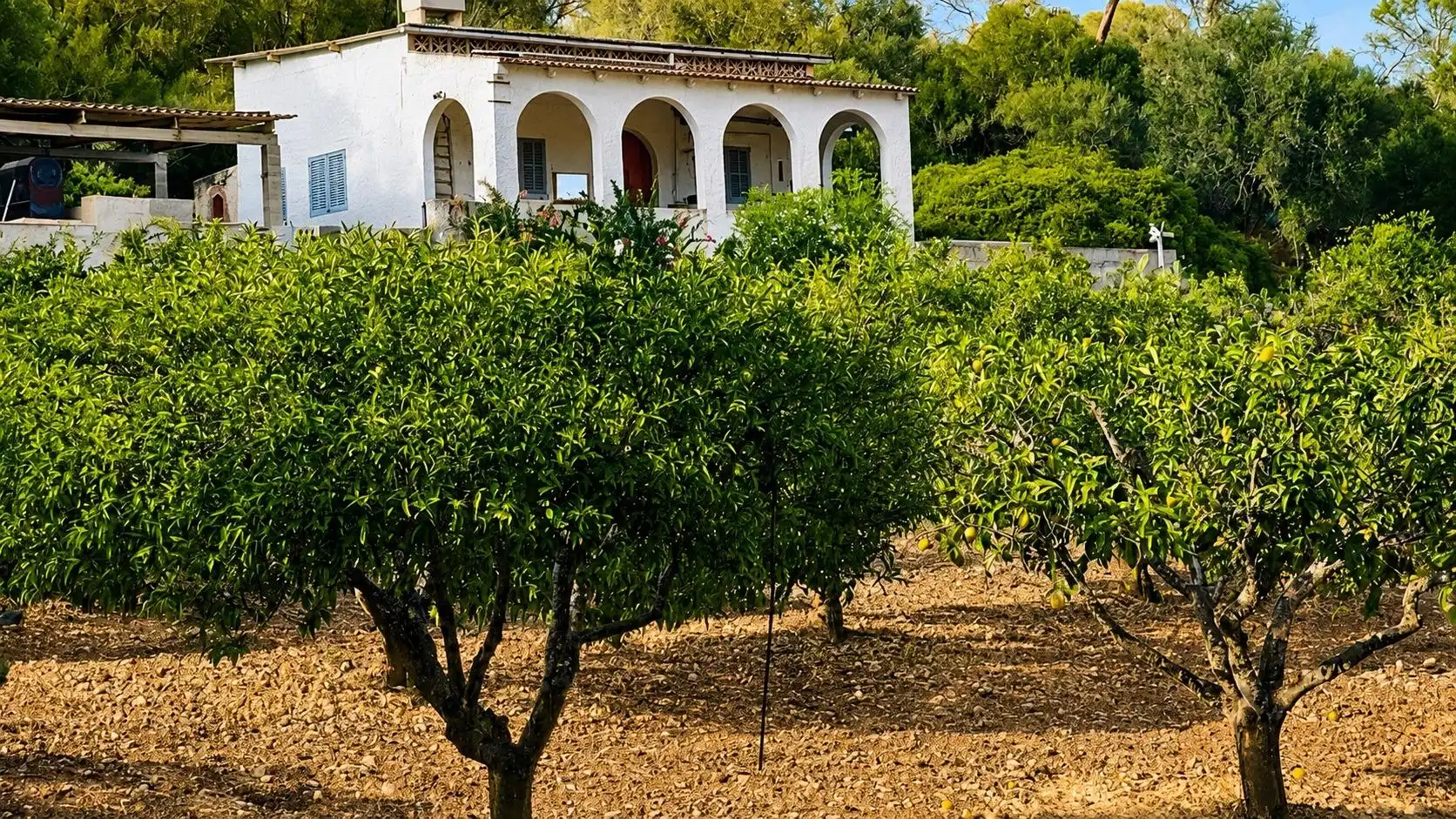 Casa rústica en venta en Algaida, imagen 3