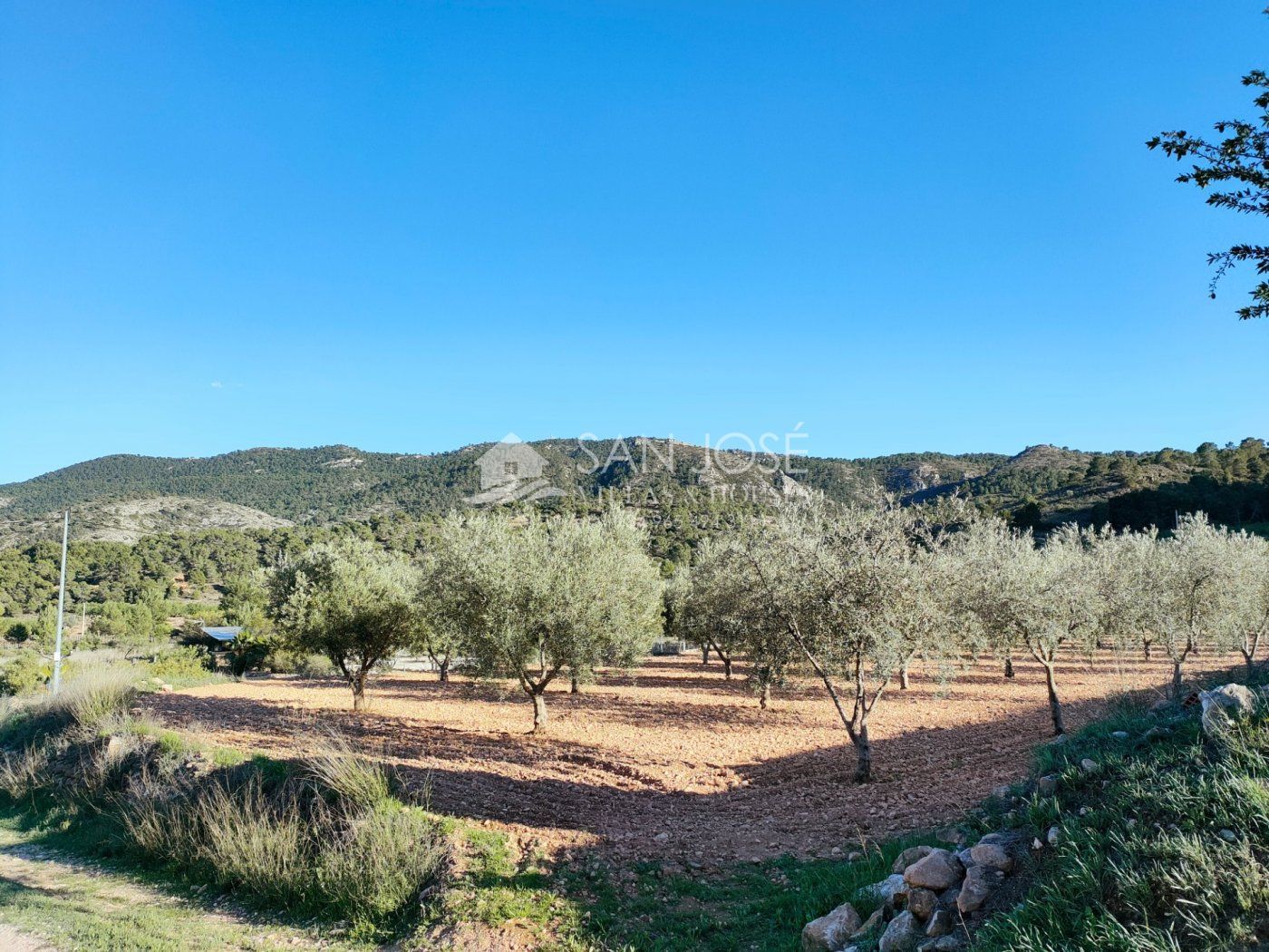 Finca rústica en venda en Hondón de las Nieves / El Fondó de les Neus
