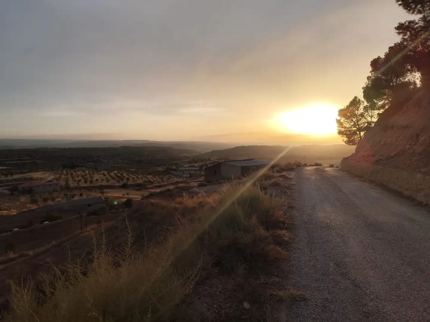 Exterior view of Land for sale in Calaceite