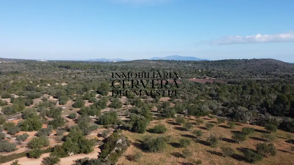 Terreno rustico in vendita a Cervera del Maestre, imagen 22