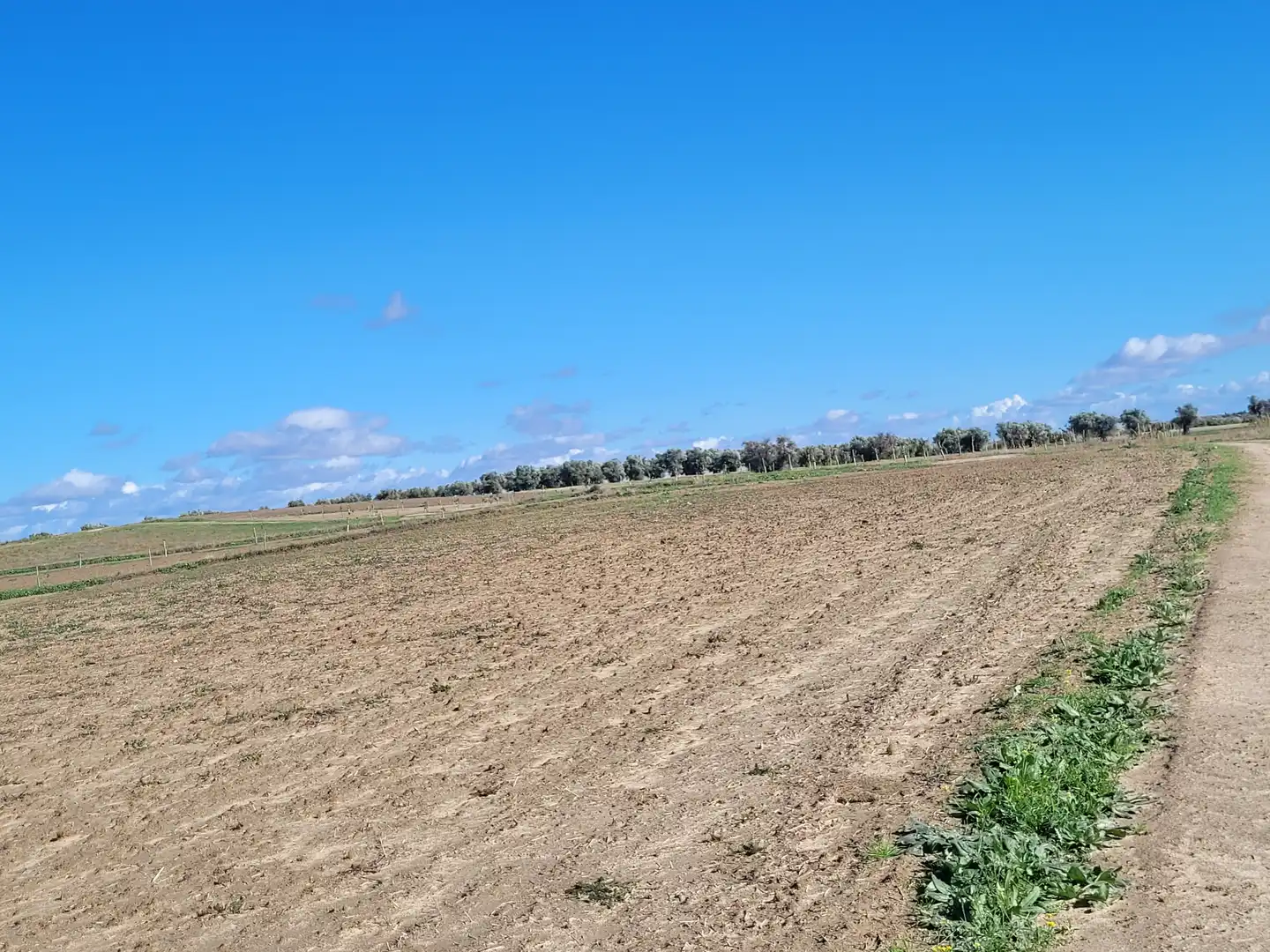 Rural land for sale in Santo Domingo-Caudilla, imagen 8