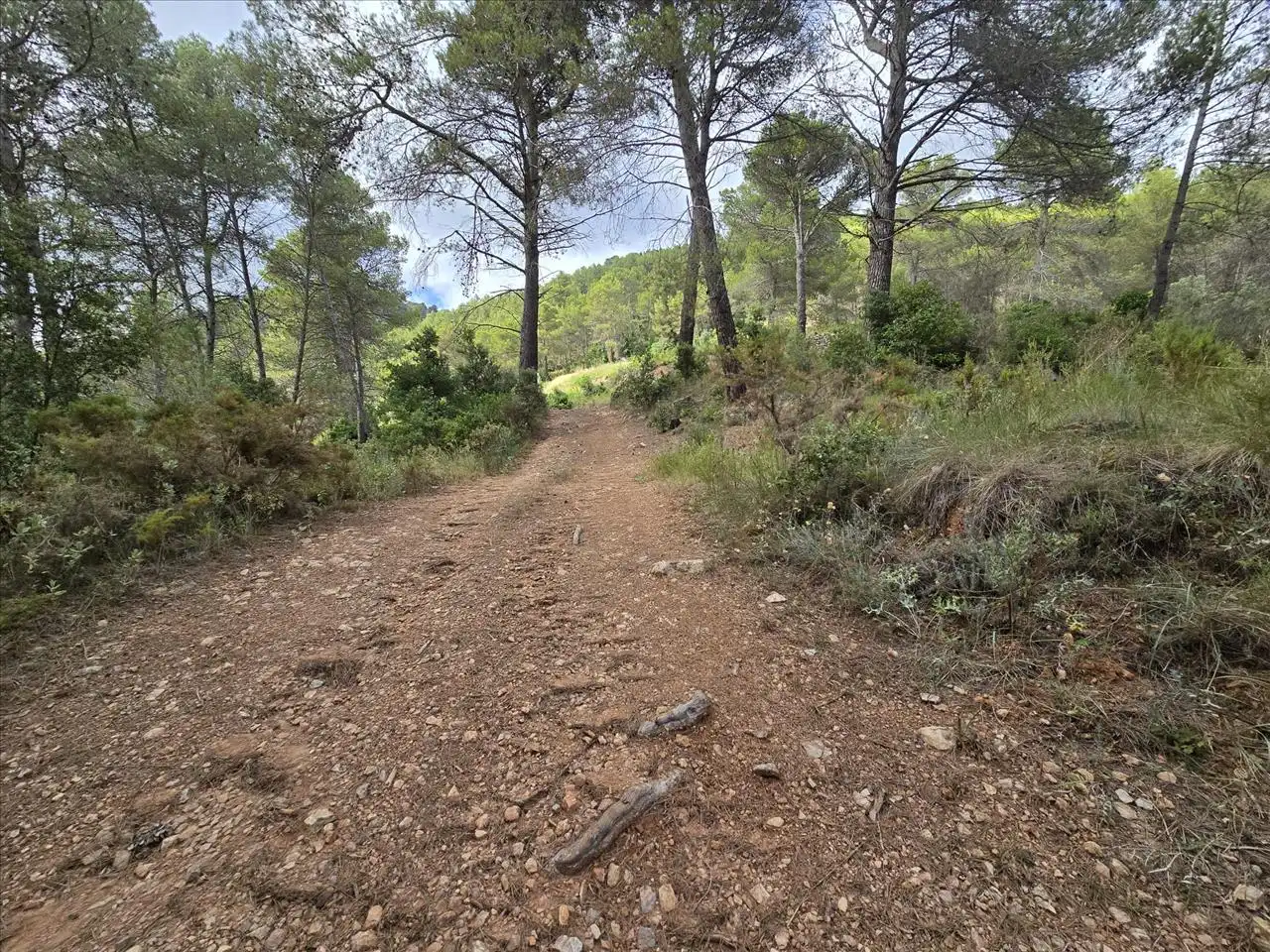 Terreny residencial en venda a Plana de Cal Cendra, imagen 16