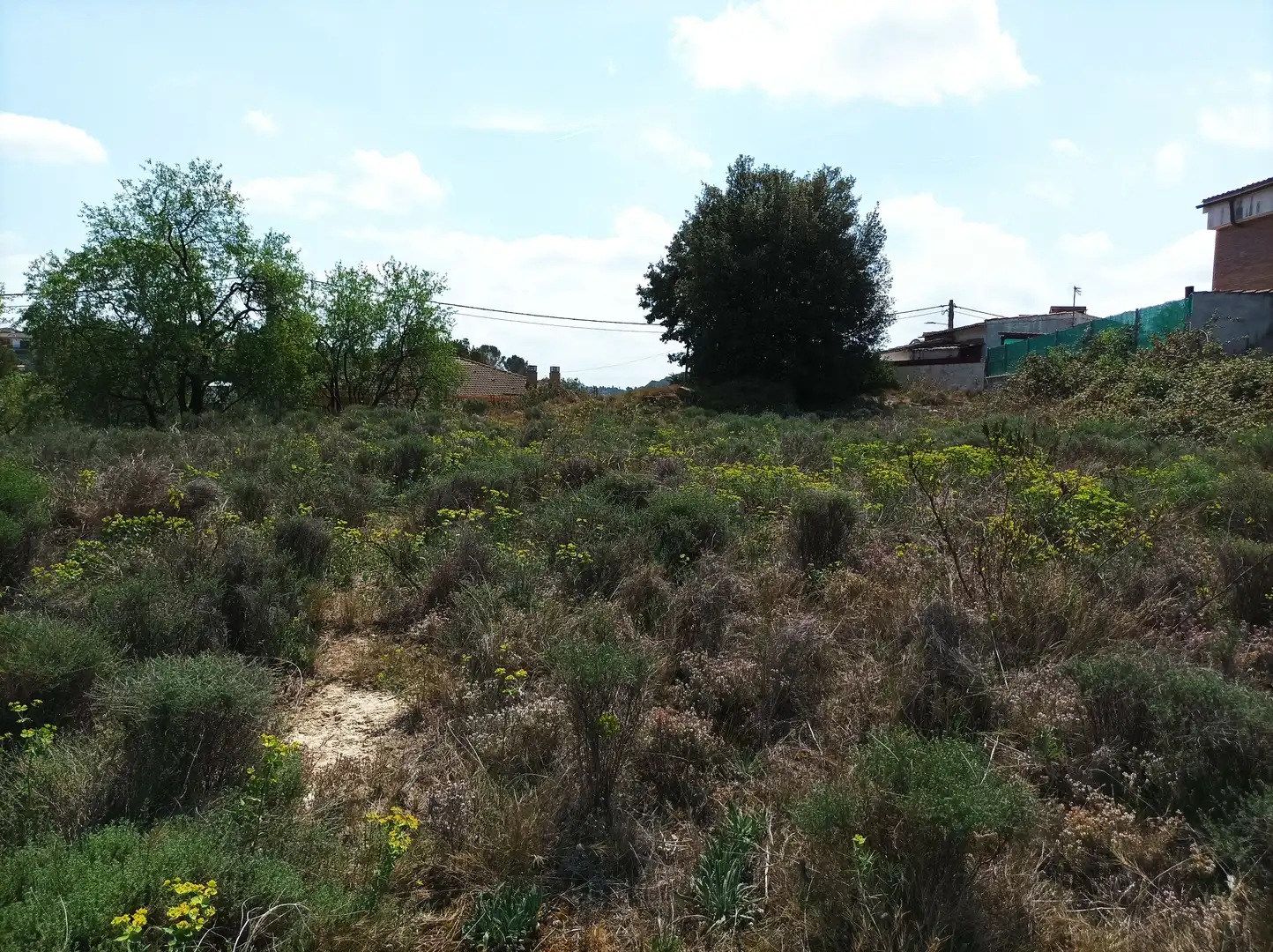 Terreno residencial en venta en Castellgalí, imagen 7