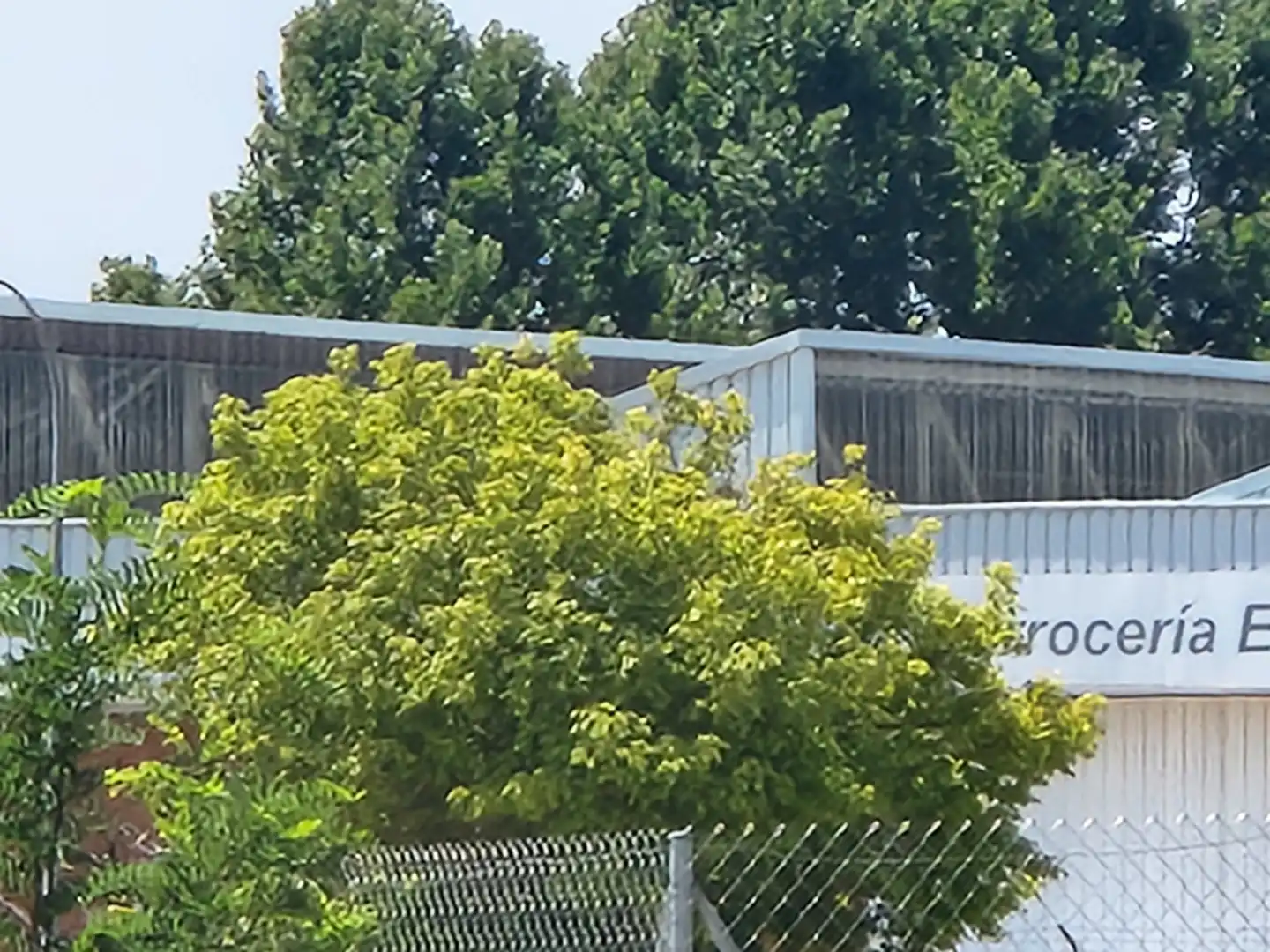 Terreno residenziale in vendita a Marchamalo, imagen 11