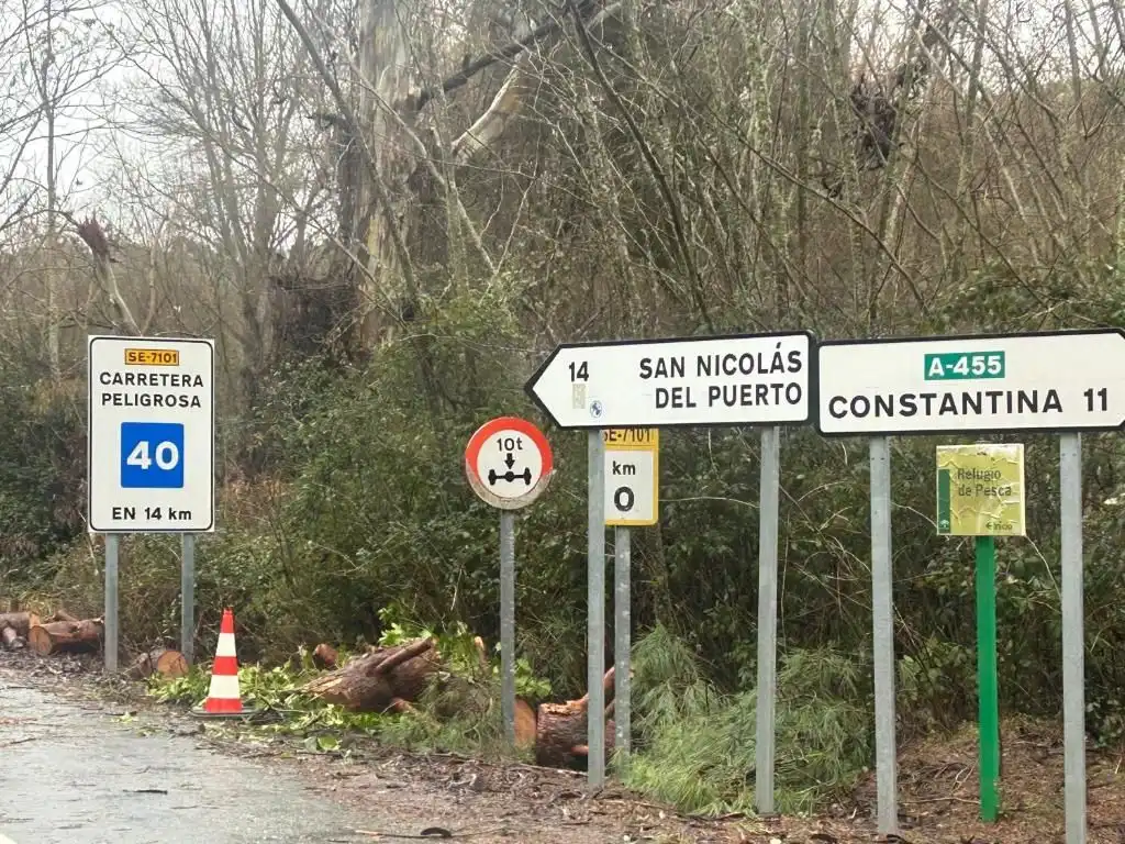 Maison rustique avec jardin à vendre à Calle TOMILLO, imagen 32