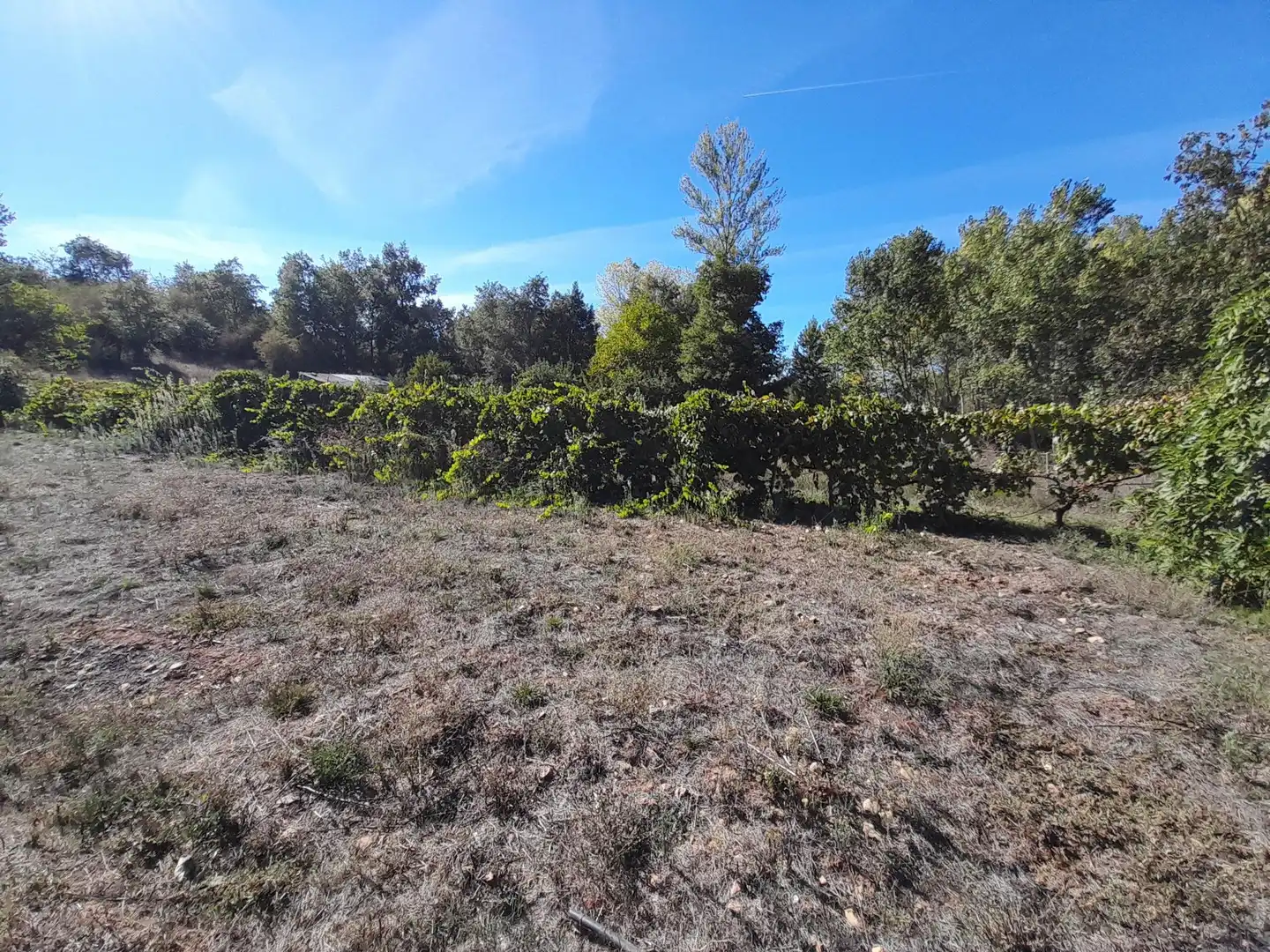 Country homes for sale in Castropodame, León
