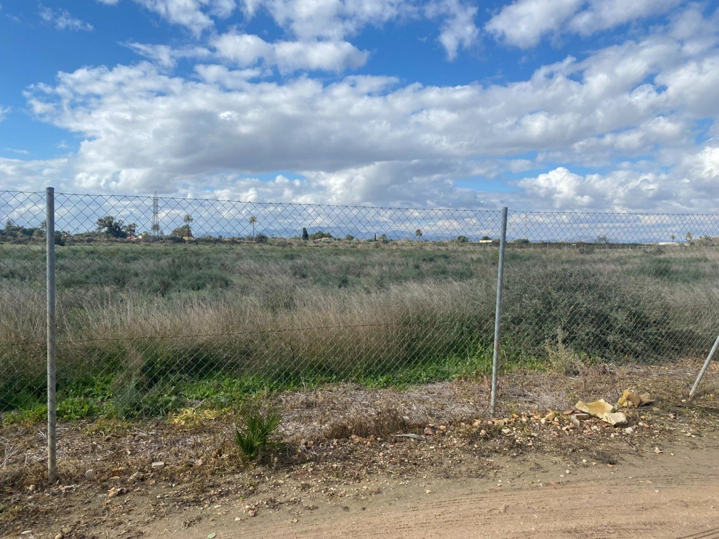 Land for sale in Elche / Elx