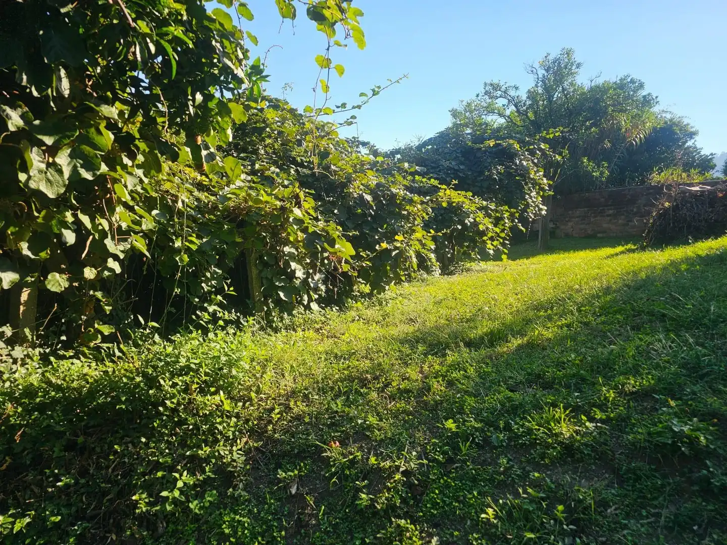 Maison à vendre à Moaña, imagen 53