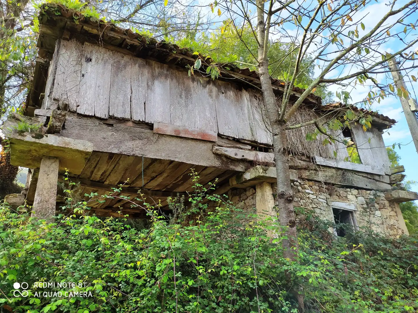 Casa rustica con giardino in vendita a Pravia, imagen 28