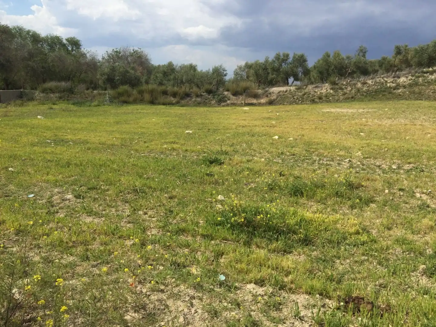 Terrenos y solares en venta en Úbeda, imagen 9
