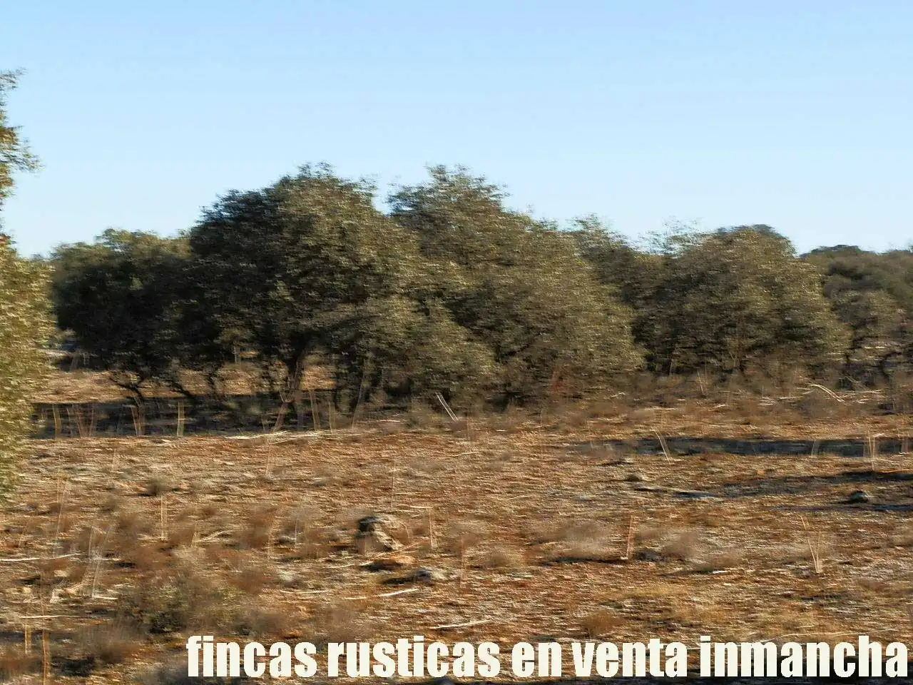 Terreni e lotti in vendita a Quintanar de la Orden, imagen 10